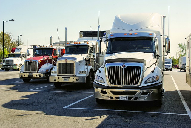 Survey reveals what transport industry SMEs would like from the Government